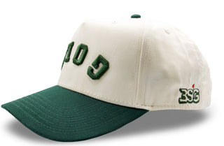 BSG Augusta New School SnapBack