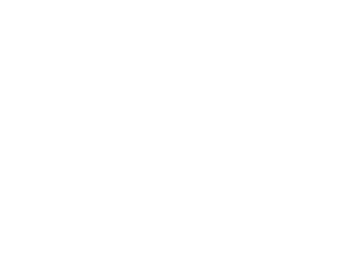 Big Sports Guys logo